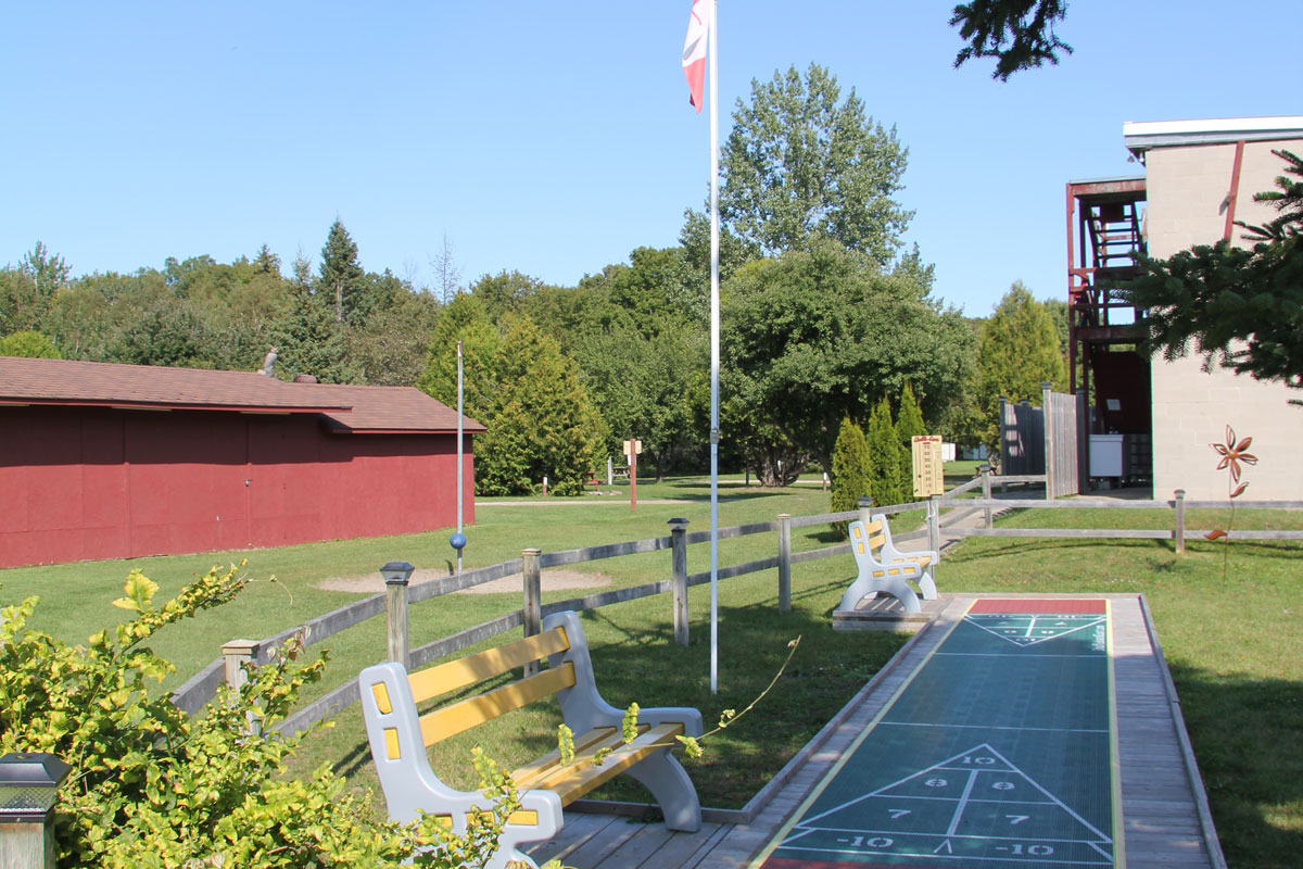 Shuffle Board